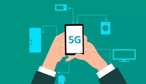 三彩家科技 借力信息技術咨詢，賦能生活服務行業降本增效